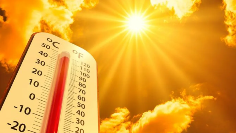 The Summer Nobody Tells Us About: High Mortality Rates, Promises, and Reality in Contemporary Italy